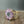Crystal Flower cuff bracelet - Gold Tone