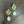 Amazonite earrings and freshwater Pearl drops - gold - Renee Piatt Collection