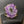Amethyst/Jasper stalactite slice prong set cuff - gold - Renee Piatt Collection