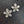 Forget - Me - Not stud earrings - sterling, gold, rose gold - Renee Piatt Collection