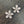 Forget - Me - Not stud earrings - sterling, gold, rose gold - Renee Piatt Collection