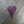 Large pavé cz heart necklace - sterling silver, gold vermeil