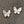 Mother-of-pearl butterfly stud earrings - silver, gold, rose gold - Renee Piatt Collection