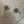 Pavé black cz sun hoops- gold, sterling silver - Renee Piatt Collection